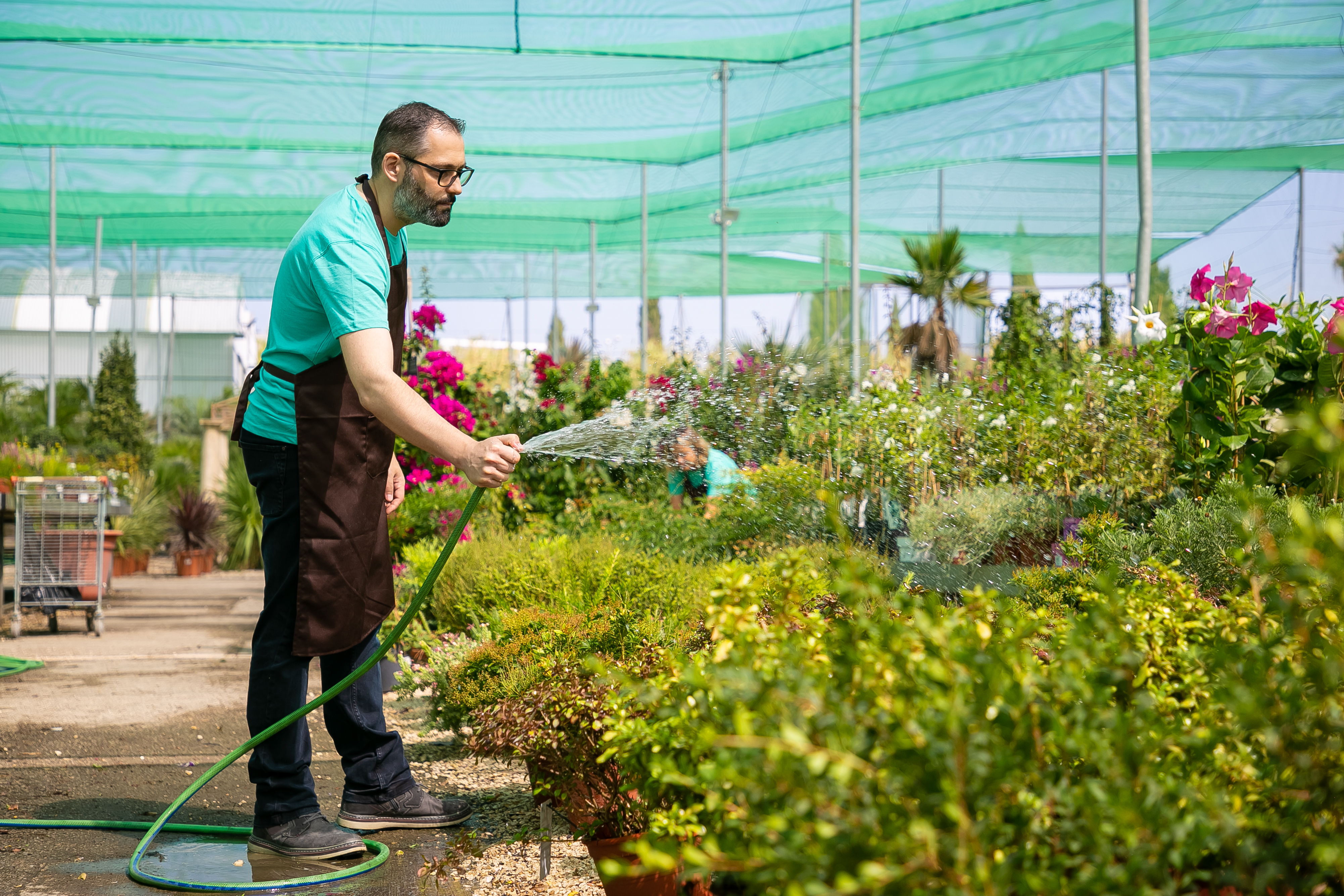 Landscape Assessment & Clearance